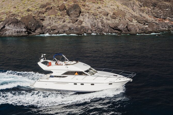 Whales and Dolphins excursion on a Luxury Yacht in Canary Islands - Luxury yacht whale watching from Las Galletas (Las Galletas, not mega-boats)