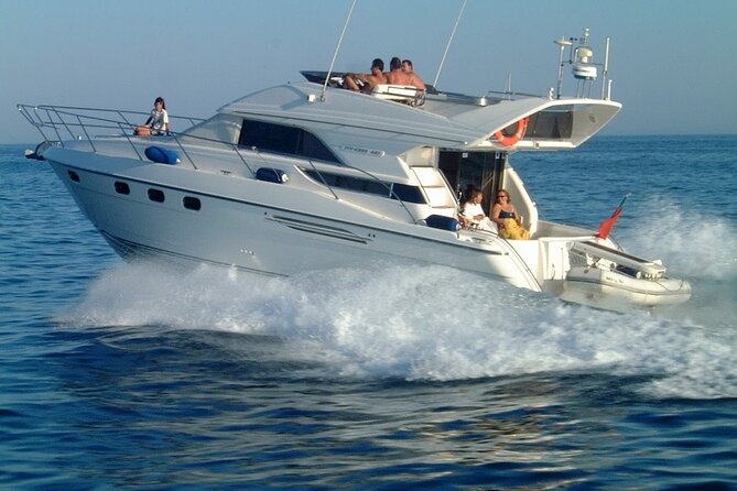Whales and Dolphins excursion on a Luxury Yacht in Canary Islands - Pickup and meeting: X-Sur, Las Galletas marina, and getting there on time