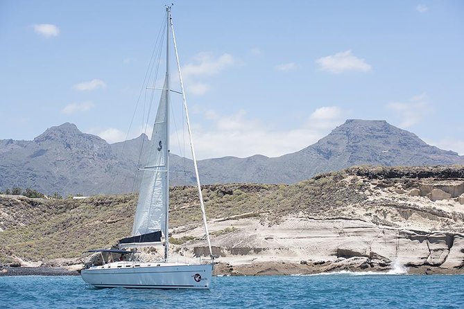 Whales & Dolphins watching in exclusive sailboat - The 3-Hour Sea Plan: What Happens Once You’re Out