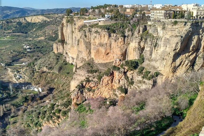 White Villages and Ronda Guided Day Tour from Seville - Guide Quality and Language: When the Day Feels Smooth (or Not)
