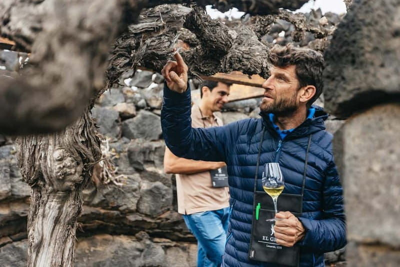 Wine Lovers: Wine Tasting Tour at El Grifo Bodega Lanzarote - Key highlights worth planning around