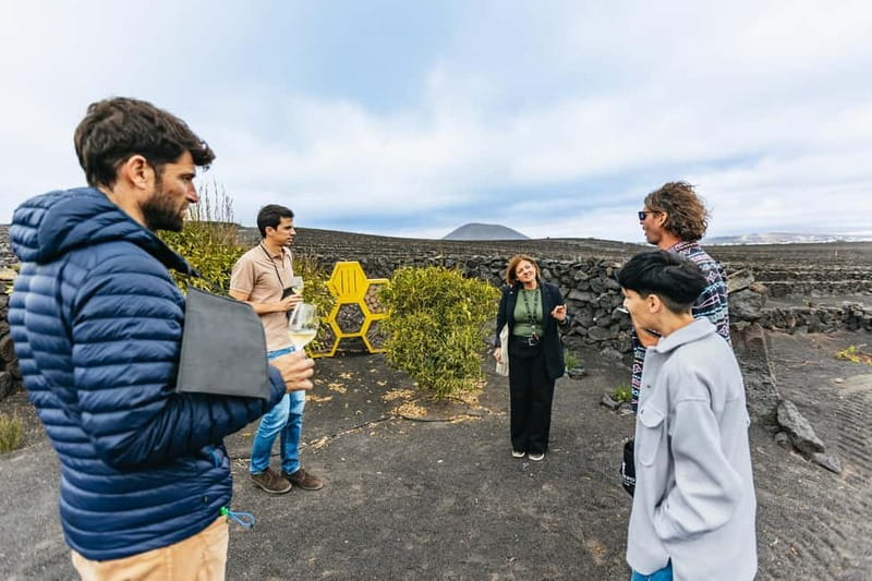 Wine Lovers: Wine Tasting Tour at El Grifo Bodega Lanzarote - El Grifo’s volcanic setting: what you’re tasting into