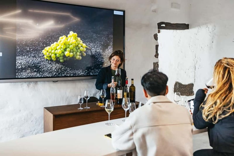 Wine Lovers: Wine Tasting Tour at El Grifo Bodega Lanzarote - Inside the museum: the 1775 winery buildings and how production changed