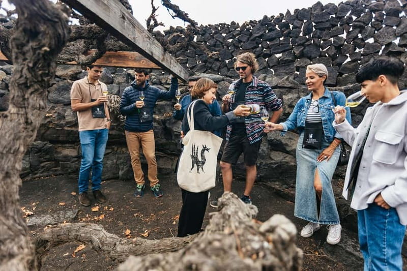 Wine Lovers: Wine Tasting Tour at El Grifo Bodega Lanzarote - Vineyard walk time: trade winds, volcanic soils, and the grapes you’ll taste