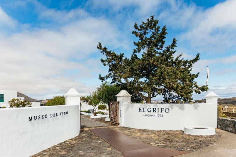 Wine Lovers: Wine Tasting Tour at El Grifo Bodega Lanzarote - Tasting 6 wines: how the guide helps you taste beyond sip-and-smile