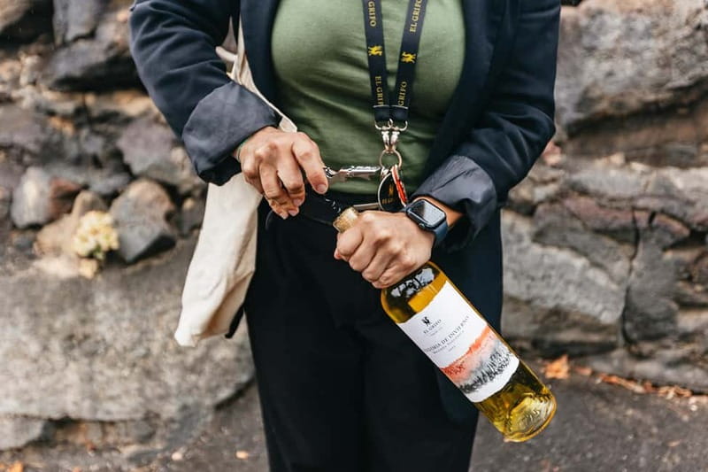 Wine Lovers: Wine Tasting Tour at El Grifo Bodega Lanzarote - Practical tips before you go (so the weather doesn’t steal your day)