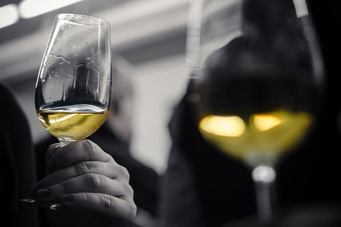 Wine Tasting Experience in Barcelona - Key highlights I’d plan around