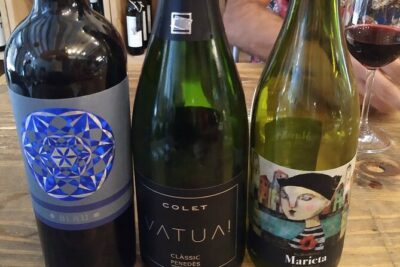 Wine Tasting Experience in Barcelona - The Catalonia lesson: five varietals and what you’re really learning