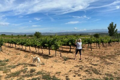 Wine Tasting in Three Boutique Wineries Tour - Max 8 people - Felix Massana Rafols: underground cellars carved by hand