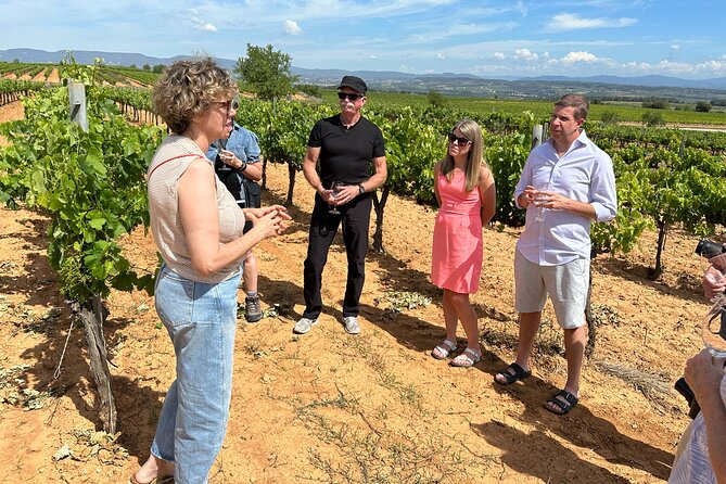 Wine Tasting in Three Boutique Wineries Tour - Max 8 people - Transport and timing: why a small group makes the day work