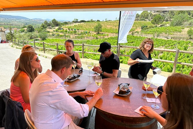 Wine Tasting in Three Boutique Wineries Tour - Max 8 people - The tasting side: how much wine you actually get