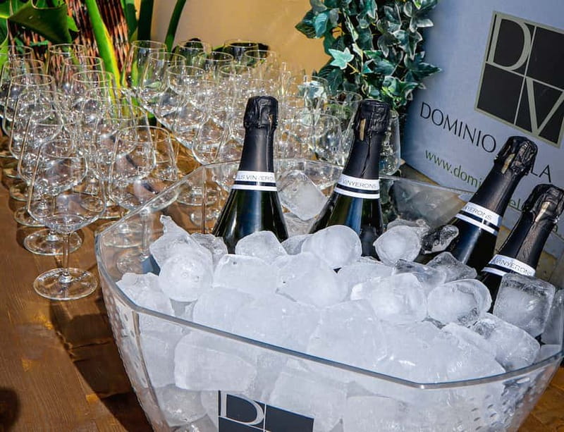 Wine Tasting with Professional Sommelier in centre Valencia - Who Should Book This Valencia Wine Tasting (and Who Should Think Twice)
