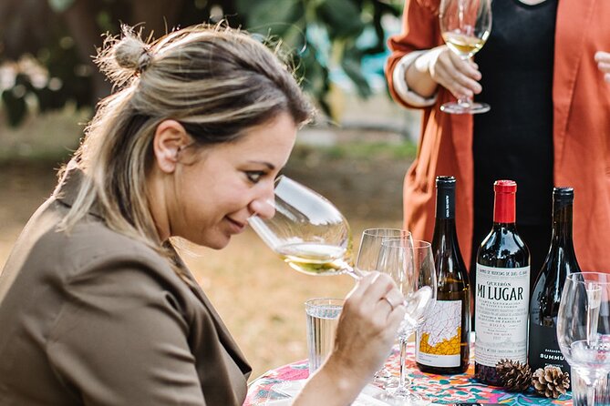 Winederlust Wine Tasting - Key Highlights You’ll Actually Care About