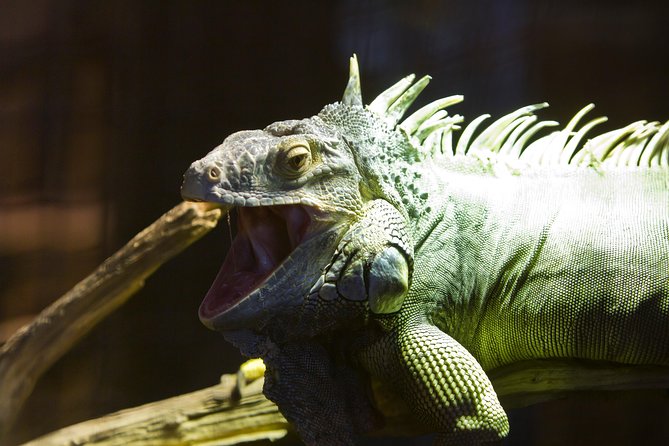 Zaragoza Aquarium Admission Ticket - Your walkthrough route: from river ships to the big tank