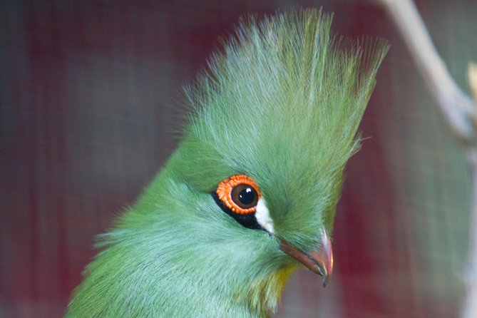 Zaragoza Aquarium Admission Ticket - What animals you might expect (and what can surprise you)